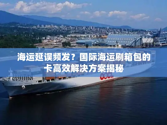 海运延误频发？国际海运刷箱包的卡高效解决方案揭秘