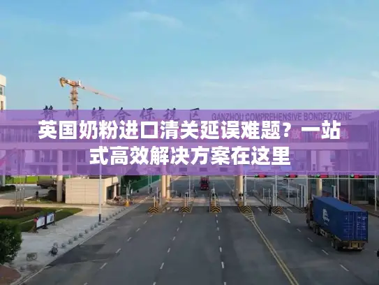 英国奶粉进口清关延误难题？一站式高效解决方案在这里