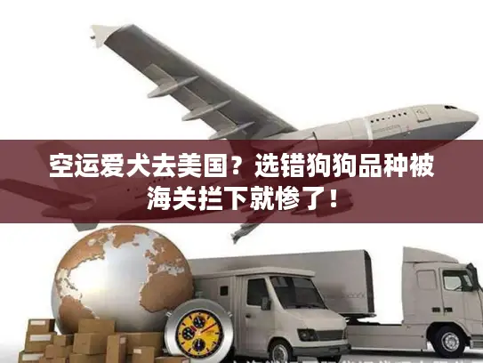 空运爱犬去美国？选错狗狗品种被海关拦下就惨了！