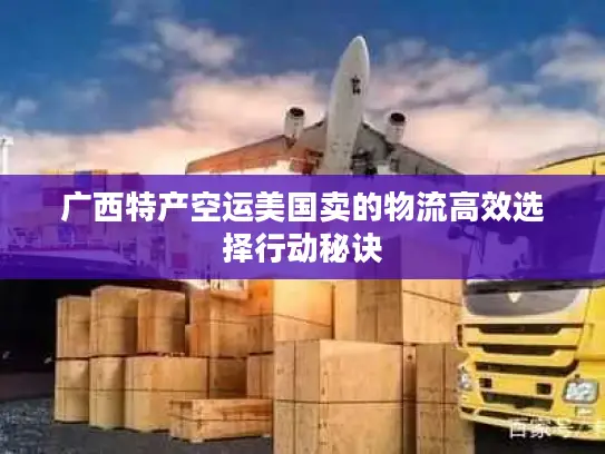 广西特产空运美国卖的物流高效选择行动秘诀