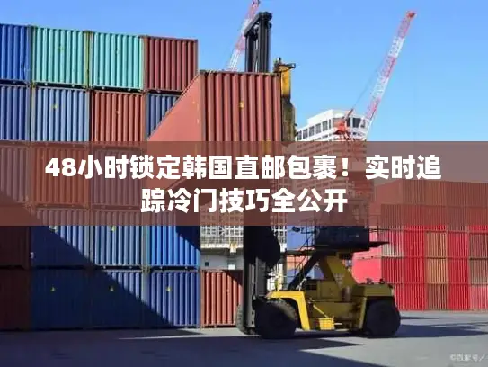 48小时锁定韩国直邮包裹！实时追踪冷门技巧全公开