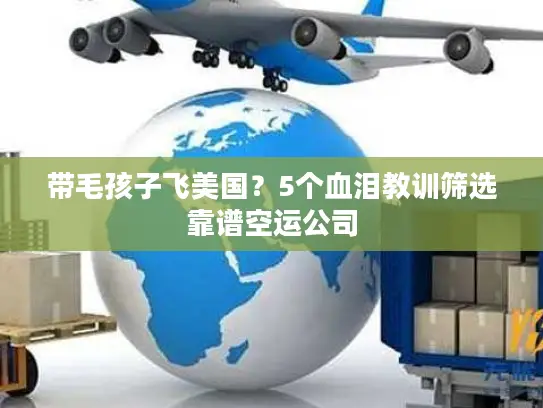带毛孩子飞美国？5个血泪教训筛选靠谱空运公司