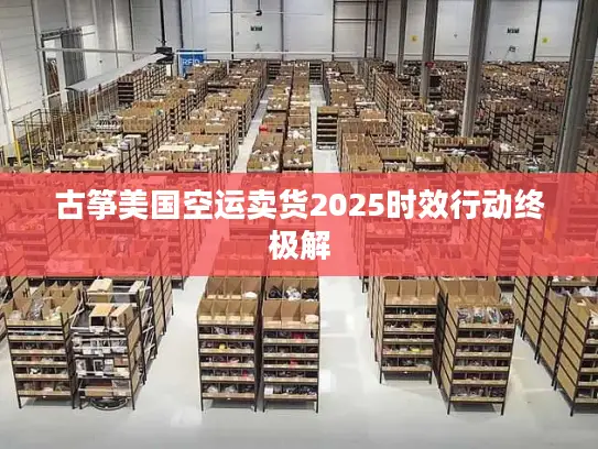 古筝美国空运卖货2025时效行动终极解