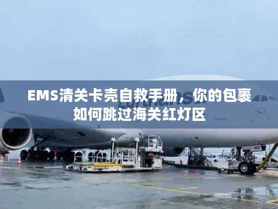 EMS清关卡壳自救手册，你的包裹如何跳过海关红灯区