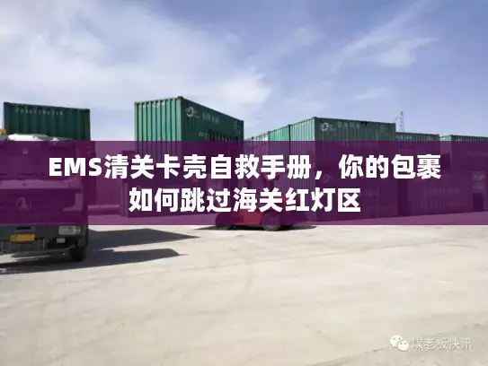 EMS清关卡壳自救手册，你的包裹如何跳过海关红灯区