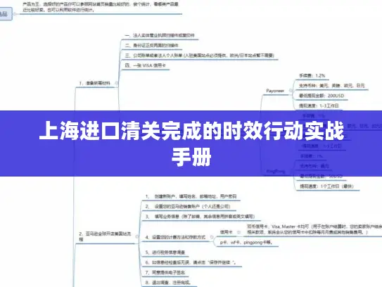 上海进口清关完成的时效行动实战手册