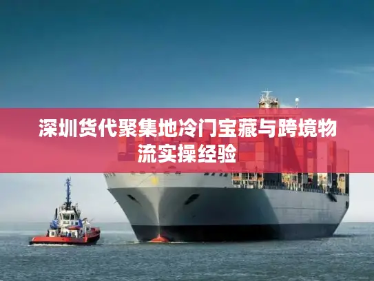 深圳货代聚集地冷门宝藏与跨境物流实操经验