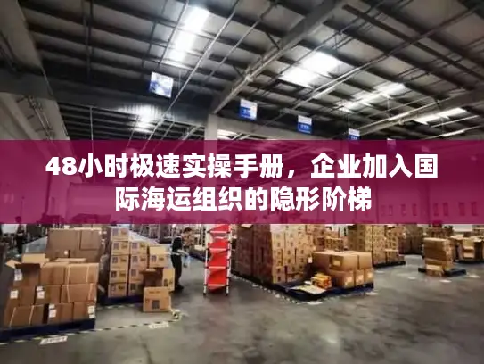 48小时极速实操手册，企业加入国际海运组织的隐形阶梯