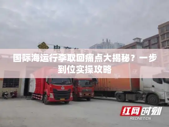 国际海运行李取回痛点大揭秘？一步到位实操攻略