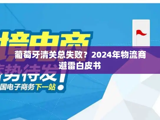 葡萄牙清关总失败？2024年物流商避雷白皮书