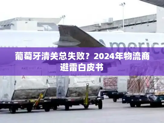 葡萄牙清关总失败？2024年物流商避雷白皮书