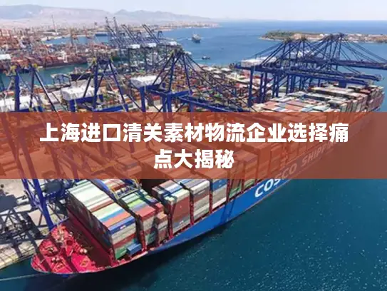 上海进口清关素材物流企业选择痛点大揭秘