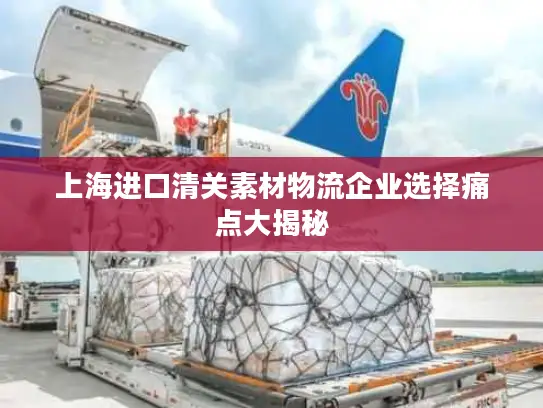上海进口清关素材物流企业选择痛点大揭秘