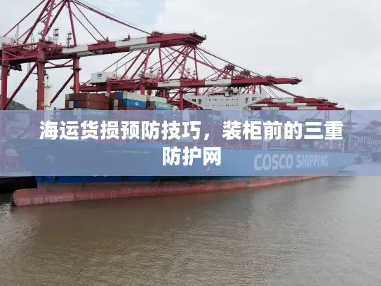 海运货损预防技巧，装柜前的三重防护网