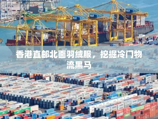 香港直邮北面羽绒服，挖掘冷门物流黑马