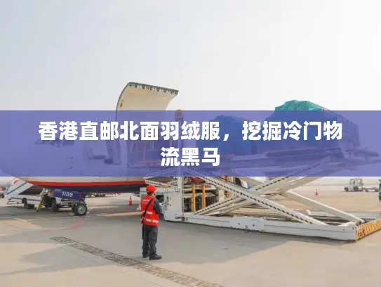 香港直邮北面羽绒服，挖掘冷门物流黑马