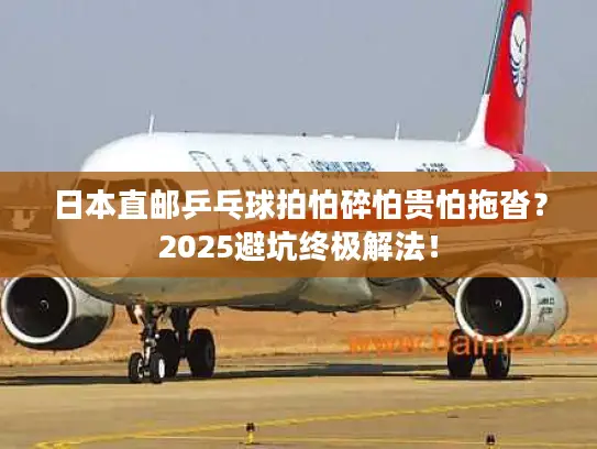 日本直邮乒乓球拍怕碎怕贵怕拖沓？2025避坑终极解法！