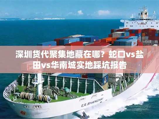 深圳货代聚集地藏在哪？蛇口vs盐田vs华南城实地踩坑报告