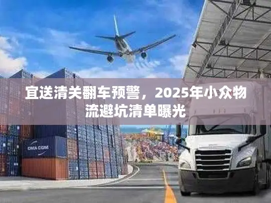 宜送清关翻车预警，2025年小众物流避坑清单曝光