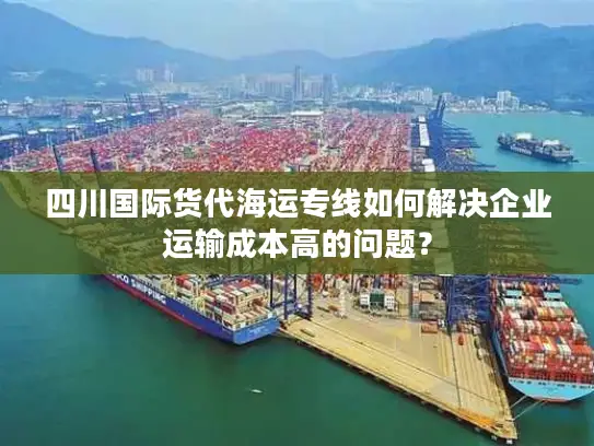 四川国际货代海运专线如何解决企业运输成本高的问题？