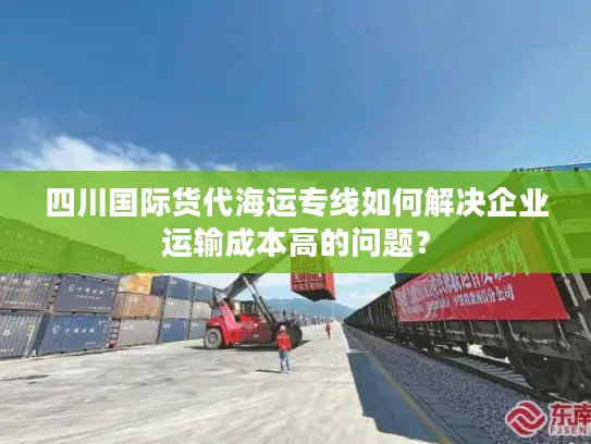 四川国际货代海运专线如何解决企业运输成本高的问题？