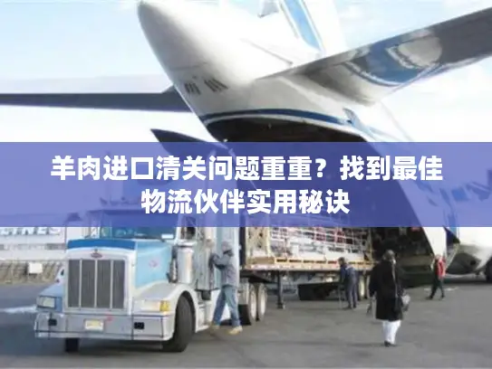 羊肉进口清关问题重重？找到最佳物流伙伴实用秘诀