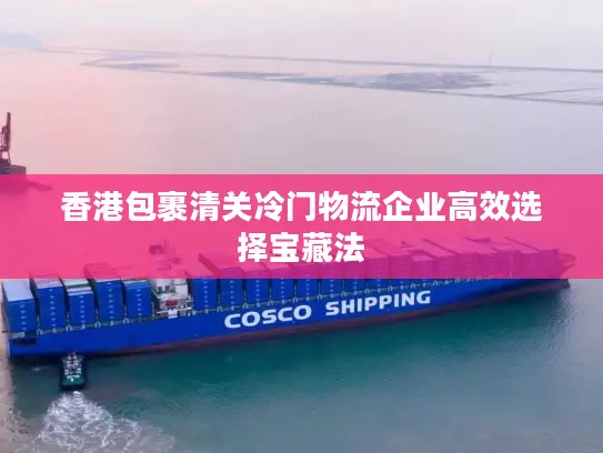 香港包裹清关冷门物流企业高效选择宝藏法