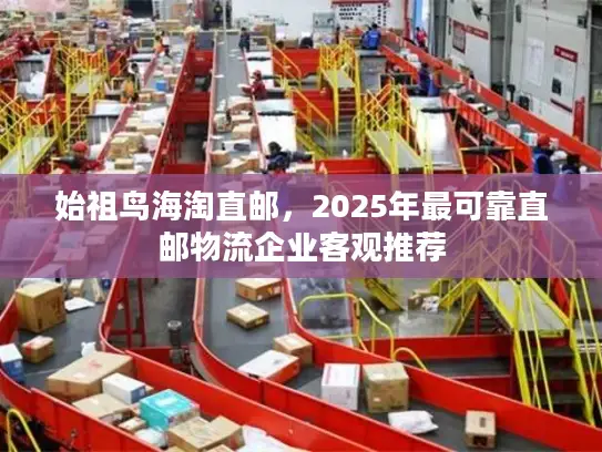 始祖鸟海淘直邮，2025年最可靠直邮物流企业客观推荐