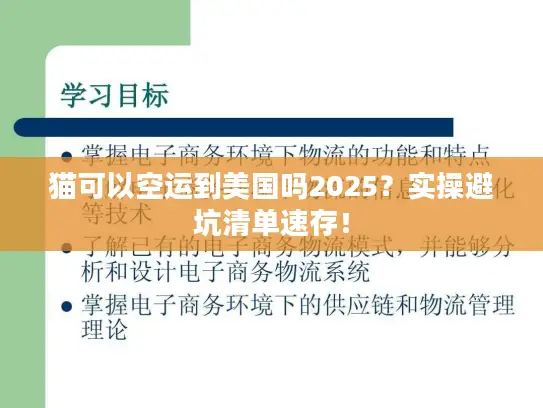 猫可以空运到美国吗2025？实操避坑清单速存！