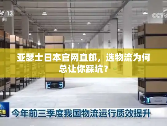 亚瑟士日本官网直邮，选物流为何总让你踩坑？