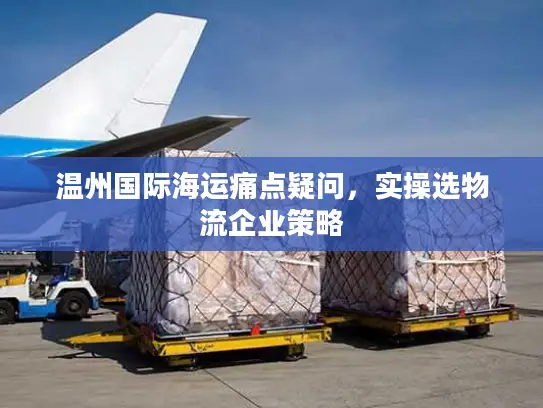 温州国际海运痛点疑问，实操选物流企业策略