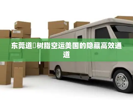 东莞道滘树脂空运美国的隐藏高效通道