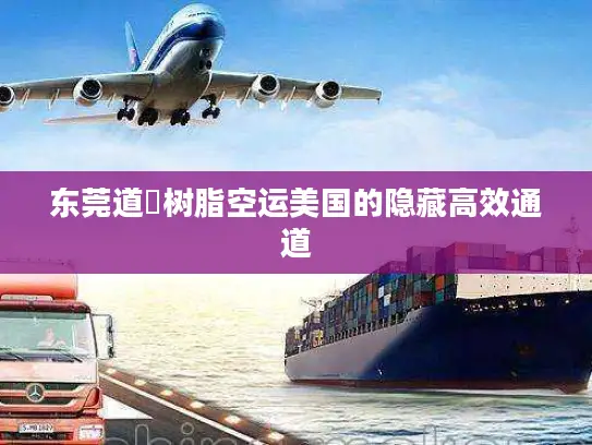 东莞道滘树脂空运美国的隐藏高效通道