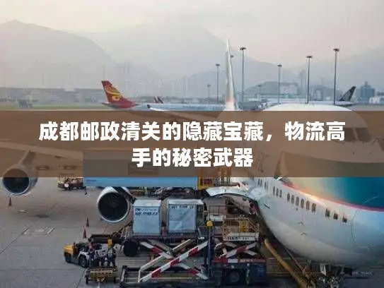 成都邮政清关的隐藏宝藏，物流高手的秘密武器