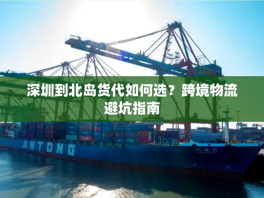 深圳到北岛货代如何选？跨境物流避坑指南