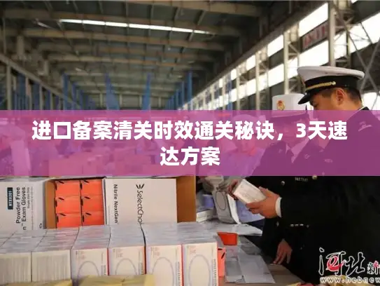 进口备案清关时效通关秘诀，3天速达方案