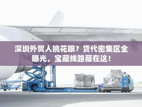 深圳外贸人挑花眼？货代密集区全曝光，宝藏线路藏在这！