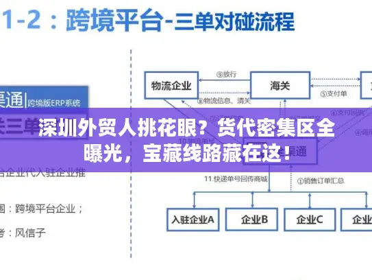 深圳外贸人挑花眼？货代密集区全曝光，宝藏线路藏在这！