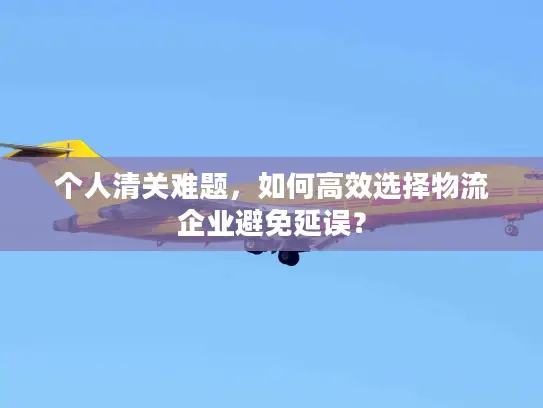 个人清关难题，如何高效选择物流企业避免延误？