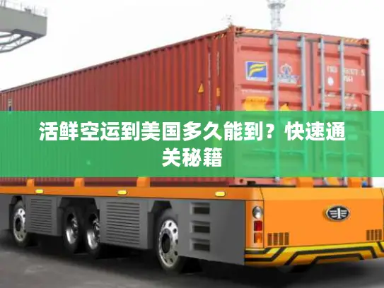 活鲜空运到美国多久能到？快速通关秘籍