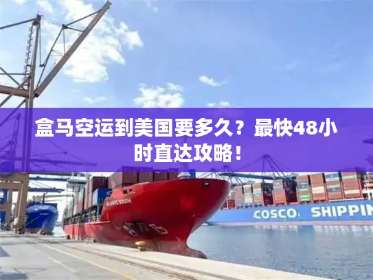 盒马空运到美国要多久？最快48小时直达攻略！