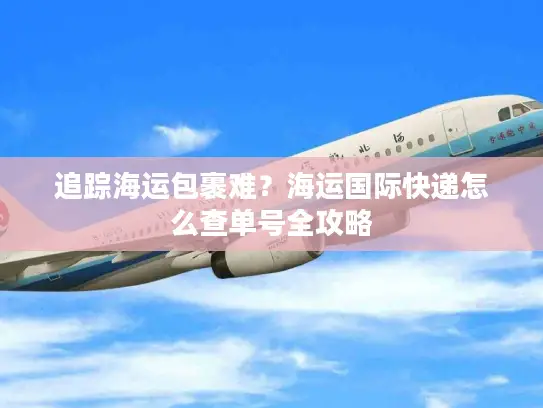 追踪海运包裹难？海运国际快递怎么查单号全攻略