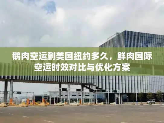 鹅肉空运到美国纽约多久，鲜肉国际空运时效对比与优化方案