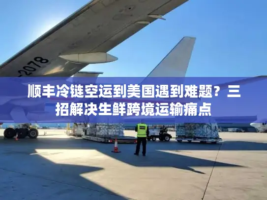 顺丰冷链空运到美国遇到难题？三招解决生鲜跨境运输痛点