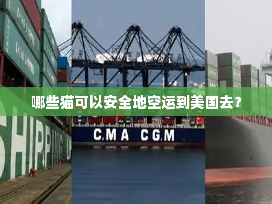 哪些猫可以安全地空运到美国去？