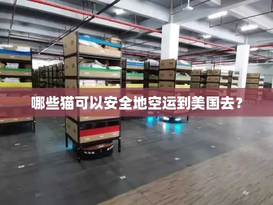 哪些猫可以安全地空运到美国去？