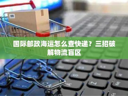 国际邮政海运怎么查快递？三招破解物流盲区