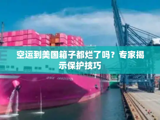 空运到美国箱子都烂了吗？专家揭示保护技巧