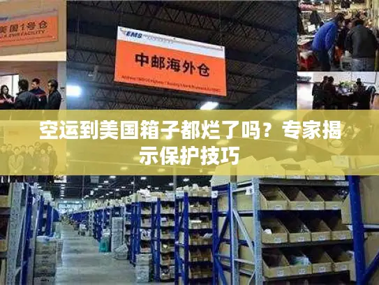 空运到美国箱子都烂了吗？专家揭示保护技巧