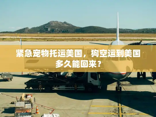 紧急宠物托运美国，狗空运到美国多久能回来？